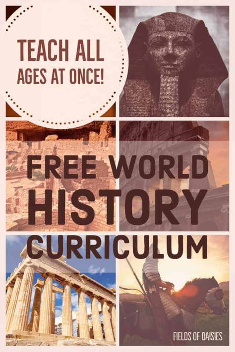 World History Projects, American History Curriculum, World History Facts, World History Classroom, Ancient World History, World History Lessons, Homeschool Social Studies, History Curriculum, History Classroom