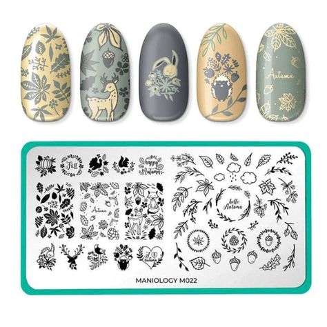 Dancing Dino, Fall Animals, Gorgeous Gourds, Festive Manicure, Holo Taco, Nail Art Stamping Plates, Nail Stamping Plates, Stamping Nail Art, Sticker Template