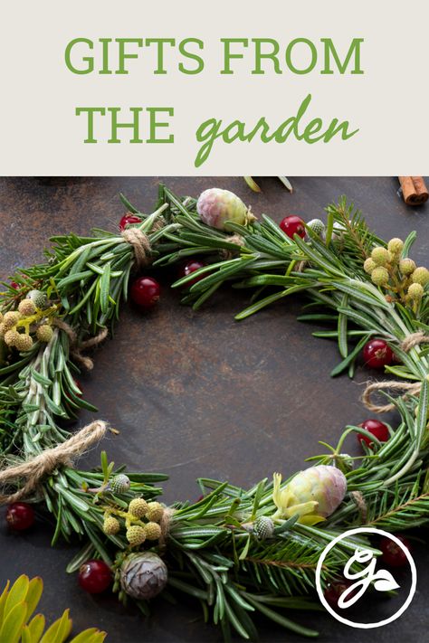 Instead of buying presents this holiday season, why not make an edible kitchen wreath? It’s a gift that keeps on giving. Pepper Wreath, Gifts From The Garden, Edible Wreath, Wreath Kitchen, Herb Wreath, Kitchen Wreath, Dried Peppers, Gardening Diy, Garden Diy