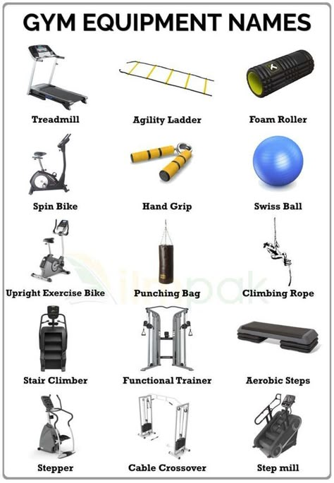 Gym Equipment Names, Workout Names, Gym Items, Simple English Sentences, Learn English For Free, Tantra Art, Study English Language, Best Gym Workout, English Learning Books