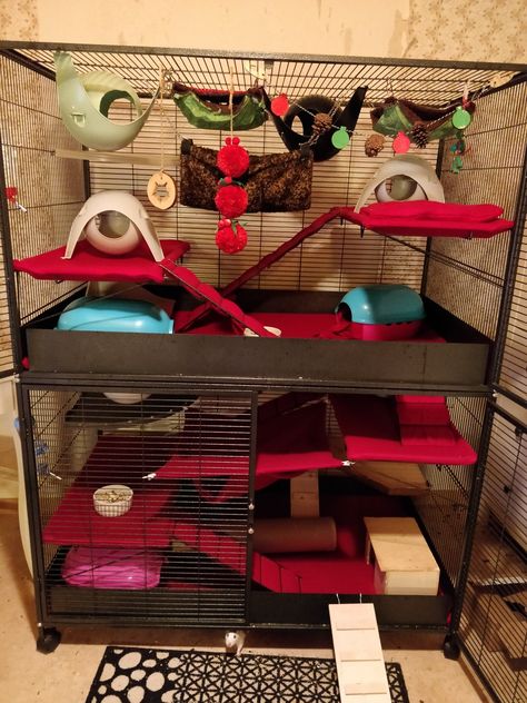 Ferret Cage, Animal Cage, Rat Cage, Pet Cage, Pet Holiday, Ferret, Rats, Gift Wrapping, Pet