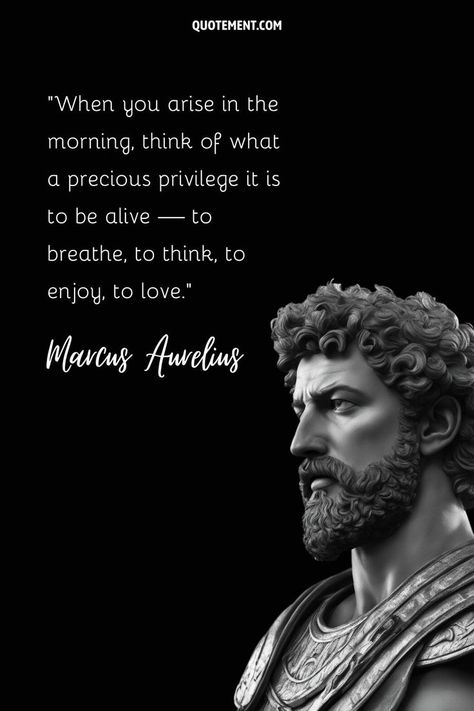 Are you looking for quotes with simple answers to complicated philosophical questions? These Marcus Aurelius quotes will give you all the answers! Famous Philosophy Quotes, Theory Of Life, Aurelius Quotes, Looking For Quotes, Marcus Aurelius Quotes, Philosophical Questions, Philosophical Thoughts, Stoicism Quotes, Leader Quotes