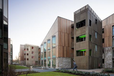 Student Village, Royal Veterinary College - Picture gallery Avant Garde Architecture, College Pictures, College Architecture, Architecture Today, Wood Facade, Architecture Collage, Student House, Architectural Section, Architecture Rendering