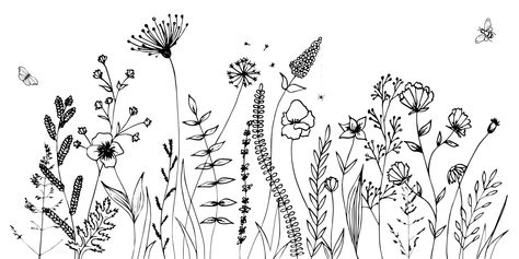 Download the Black silhouettes of grass, flowers and herbs isolated on white background. Hand drawn sketch flowers and insects. 2373063 royalty-free Vector from Vecteezy for your project and explore over a million other vectors, icons and clipart graphics! Wildflower Drawing, Grass Flowers, Flower Line Drawings, Doodle Images, Monochrome Prints, Flower Sketches, Meadow Flowers, Black Silhouette, Drawing Images