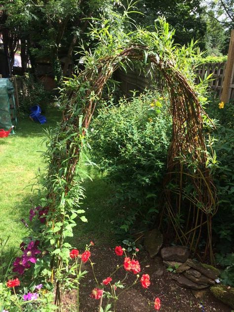 Living Willow Structures, Willow Projects, Willow Structures, Willow Garden, Living Willow, Outdoor Renovation, Garden Sculptures, Weeping Willow, Woodland Garden