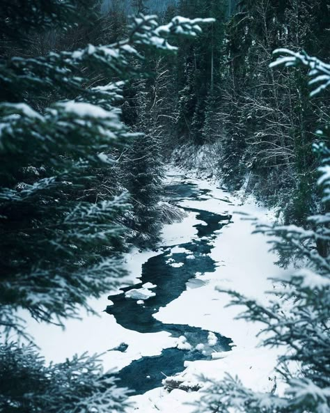 Fjord Aesthetic, North Aesthetic, Iron Fey, Medieval Aesthetic, Snow Forest, Dream Fantasy, Weather Seasons, Night Scenery, Winter Photos