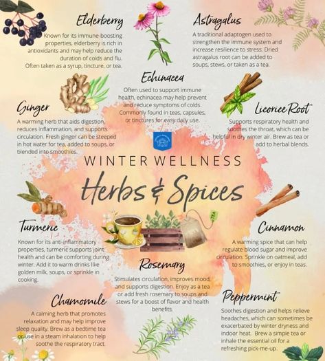 Herbs and spices and the benefits each can bring #herbsandspices #wellness #healthawareness #chamomile #peppermint #rosemarybenefits #winterwellness Spices And Their Benefits, Spiritual Herbs And Spices, Beginner Herbalist, Herb Benefits, Magick Herbs, Witchy Mama, Herbal Tea Garden, Herbs List, Girly Tingz