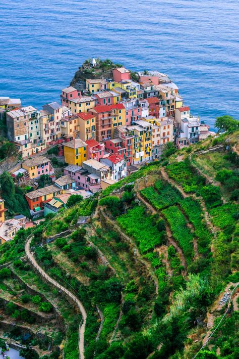 Manarola Italy, Ligurian Coast, Cinque Terre Italy, Travel Recommendations, Train Travel, Travel Inspo, Most Beautiful Places, Wonderful Places, Italy Travel