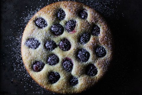 Olive Oil Ricotta Cake with Plums Chocolate Clafoutis, Blackberry Lavender, Ricotta Cake Recipes, Plum Recipes, Ricotta Cake, Bowl Cake, Summer Cakes, Plum Cake, Smitten Kitchen