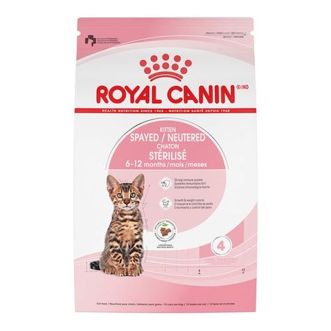 Healthy Cat Food, Newborn Kittens, Kitten Food, Healthy Cat, Royal Canin, Healthy Brain, Dry Cat Food, Healthy Energy, Health Nutrition