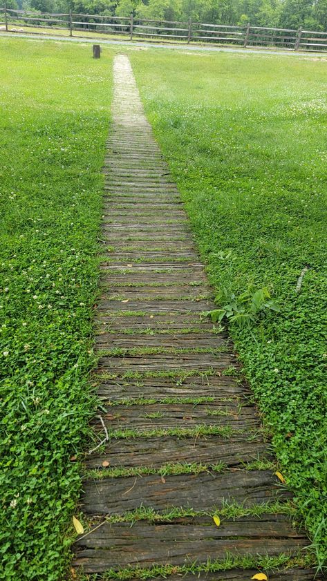 Wood Garden Paths And Walkways, Wooden Plank Walkway, Diy Wood Pathway Wooden Walkways, Backyard Trails Pathways Woods, Wood Plank Path, Wood Trails Pathways, Backyard Boardwalk Wooden Walkways, Diy Pathway, Wooden Pathway