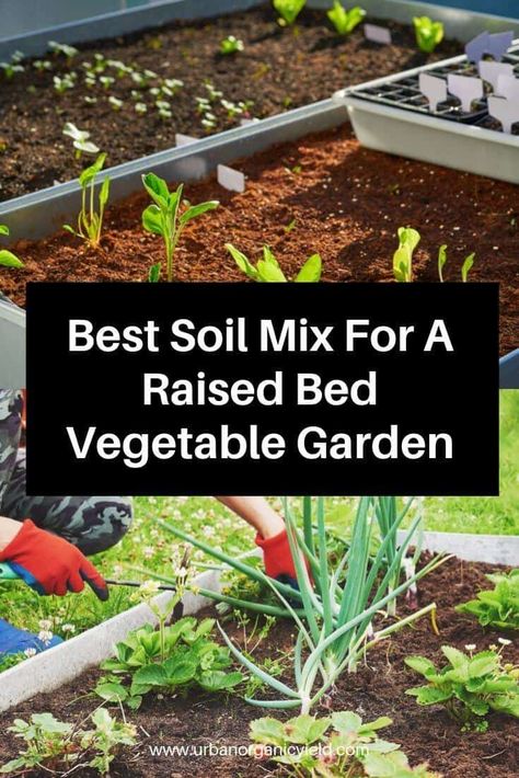 Raised Garden Bed Soil, Raised Bed Vegetable Garden, Vegetable Garden Soil, Soil Types, Vegetable Beds Raised, Building Raised Garden Beds, Vegetable Garden Raised Beds, Building A Raised Garden, Starting A Vegetable Garden