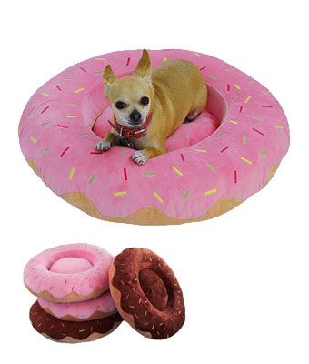 donut dog bed Jelly Donut, Bed For Cats, Donut Bed, Cama Pet, Donut Dog Bed, Pet Style, Cats And Dogs, Pet Furniture, Labradoodle