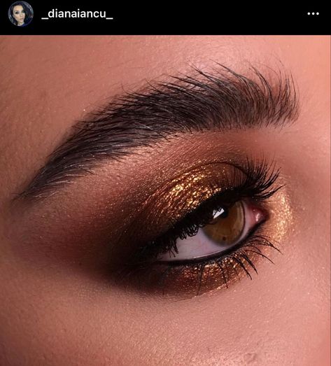 Black And Golden Makeup Looks, Brown Eyes Glam Makeup, Make Up For Dark Brown Eyes, Fall Eyeshadow Looks For Brown Eyes, Bronzy Eye Makeup, Makeup For Dark Brown Eyes, Smokey Glam Makeup, Mackup Ideas, Waterfall Shoot