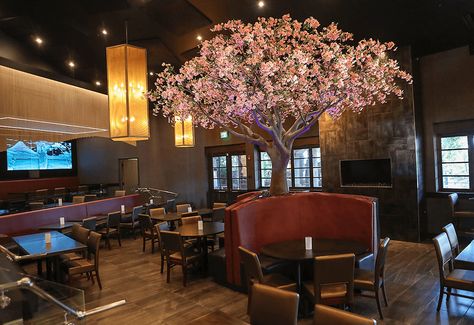 Take a look at the cherry blossom tree we created for Okura Sushi in La Quinta! Click for details and more pictures of this restaurant centerpiece: https://treescapes.com/cherry-blossom-artificial-indoor-tree-at-okura-sushi/ City Interior Design, Artificial Indoor Trees, Indoor Landscaping, Artificial Cherry Blossom Tree, Rooftop Restaurant Design, City Interior, Tree Restaurant, Tree Indoor, Cherry Blossom Wallpaper