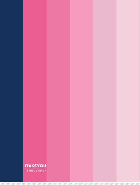 Fuchsia Pink Color Palette, Fuchsia Colour Palette, Blue Magenta Color Palette, Pink Navy Color Palette, Dark Blue And Pink Color Palette, Navy Pink Color Palette, Hot Pink Color Palette Colour Schemes, Navy Blue And Pink Color Palette, Color Palette Hot Pink