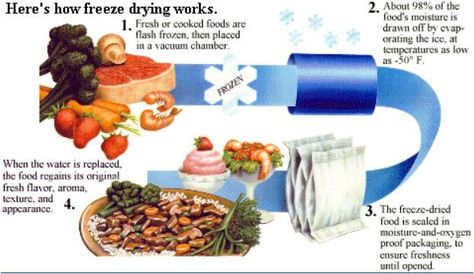 The basics of how the freeze drying process works. Food Engineering, Trail Food, Dried Food, Freeze Drying Food, Backpacking Food, Dehydrated Food, Emergency Prepping, Food Supply, Freeze Dried