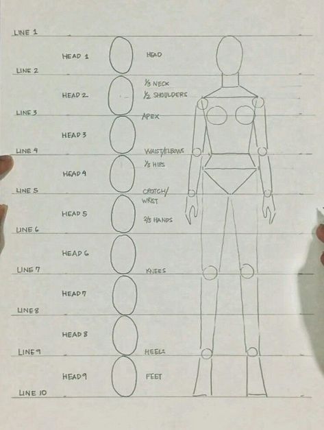 Drawing Body Proportions, Fashion Illustration Template, Fashion Model Sketch, Fashion Illustration Tutorial, Fashion Figure Drawing, Fashion Illustrations Techniques, Fashion Drawing Sketches, Fashion Drawing Tutorial, Human Figure Drawing