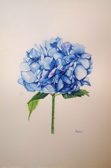 Hydrangea, watercolor on paper https://www.etsy.com/uk/listing/512589980/hydrangea-watercolor-flower-botanical Hydrangea Tattoo, Hydrangea Watercolor, Watercolor Hydrangea, Hydrangea Painting, Watercolor Flowers Paintings, Pen And Watercolor, Watercolor On Paper, Watercolor Flower, Blue Hydrangea