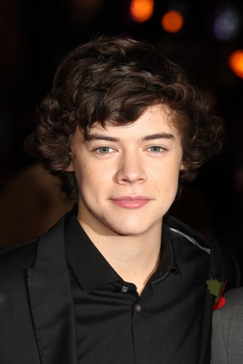 2010 Harry Styles 2010, Harry Styles Hair, Harry Styles Long Hair, Hair Evolution, Harry Styles Smile, Harry Styles Cute, Haikou, Hair Guide, Harry Styles Wallpaper