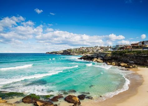 Tamarama Beach near Bondi in Sydney. Tamarama Beach, Places In Australia, Sidney Australia, Gold Coast Queensland, Paradise Beach, Beach Paradise, Most Beautiful Beaches, Beach View, Canberra