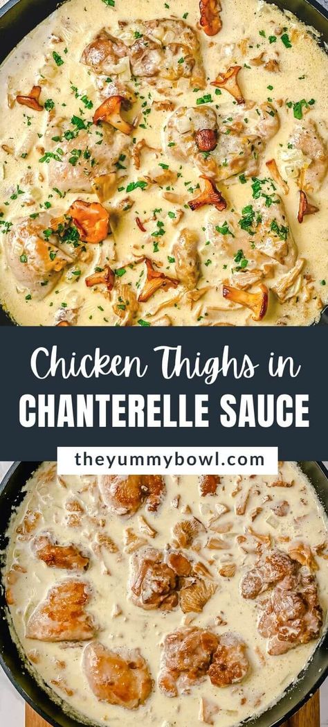 Chicken Thighs With Chanterelle Mushroom Sauce - The easiest, creamiest chicken mushroom sauce you will ever have! This chicken sauce is full of rich flavors like creamy cheddar, chanterelles, and a hint of nutmeg. Chicken Mushroom Sauce, Mushroom Chicken Thighs, Chanterelle Mushroom Recipes, Chanterelle Recipes, Mushroom Sauce For Chicken, Yummy Bowl, Chicken Cheddar, Wild Mushroom Recipes, Creamy Mushroom Chicken