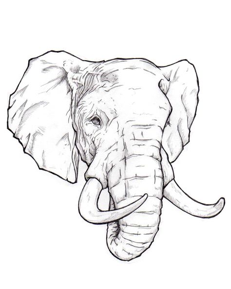 Elephant = memory, family, strength, emotion Would be beautiful to add delicate Mandela on forehead Más Elephant Art Drawing, Elephant Sketch, Elephant Stickers, Elephant Tattoo Design, Elephant Face, Afrique Art, Drawing Heads, Elephant Drawing, Elephant Tattoo