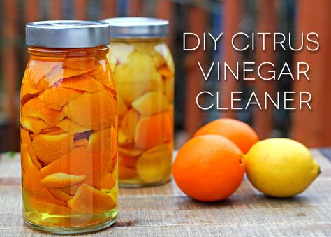 Vinegar Cleaner Recipe, Orange Peel Vinegar, Citrus Cleaner, Infused Vinegars, Lemon Vinegar, Vinegar Cleaner, Cleaning Tricks, Cleaner Recipes, Spring Cleaning Hacks