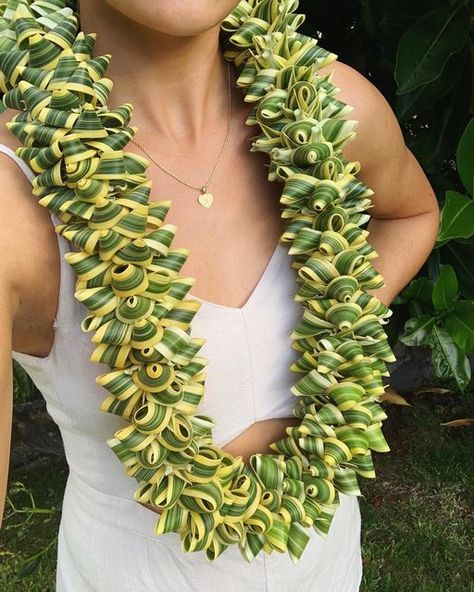 Lei Making Diy, Song Of India Lei, Pua Flower, Mermay 2024, Grad Leis, Lei Poo, Lei Ideas, Haku Lei, Graduation Leis Diy