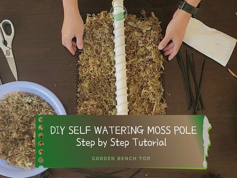 How to Make a DIY Self Watering Moss Pole - Tutorial with Real Pictures! Bendable Moss Pole Diy, Homemade Moss Pole, Moss Poles Diy, Diy Moss Pole Monstera, Moss Pole Ideas, Self Watering Moss Pole Diy, Diy Plant Support Indoor, Moss Poles For Plants, How To Make A Moss Pole