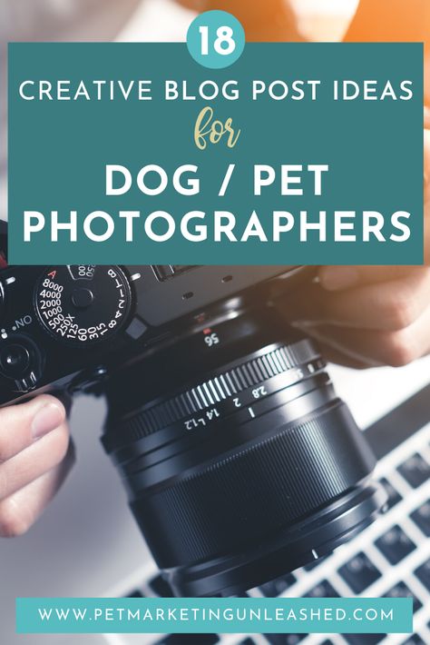 18 Creative Blog Post Ideas for Pet Photographers | Pet Marketing Unleashed Dog Blog Post Ideas, Pet Marketing, Pet Photography Business, Pet Sitting Business, Business Strategy Management, Photographer Tips, Give Too Much, Get Instagram Followers, Blog Post Topics