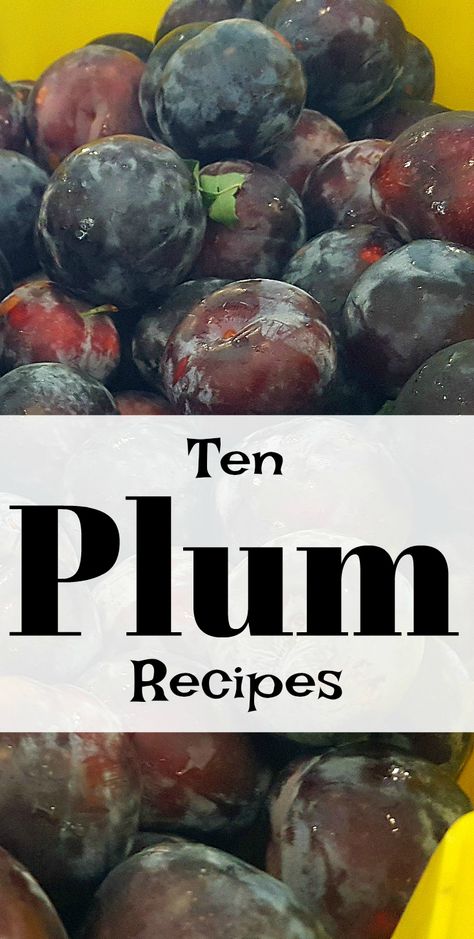 10 Recipes for Fresh, Seasonal Plums Plum Recipes Healthy, Plums Recipes Dessert, Canning Plums, Plum Sauce Recipe, Plum Varieties, Black Plums, Plum Jam Recipes, Plum Pie, Plum Recipes