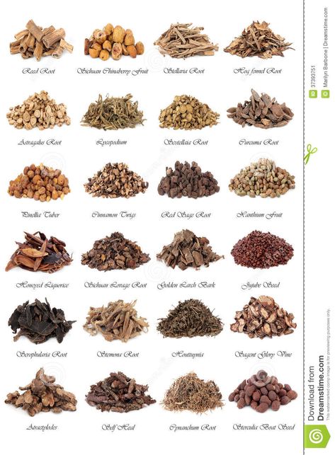 Chinese Medicine stock image. Image of alternative, background - 37393751 Chinese Medicinal Herbs, Tcm Traditional Chinese Medicine, Medicinal Tea, Chinese Herbal Medicine, Chinese Herbs, Herbal Healing, Nuts And Seeds, Healing Food, Traditional Medicine