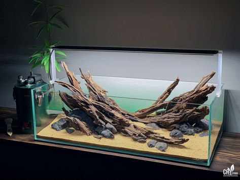 Ideas For Aquarium, Drawing Ideas Turtle, Aquarium Themes, Sea Animal Drawing, Draw Turtle, Turtle Tank Ideas, Hardscape Aquarium, Turtle Aesthetic, Tattoo Turtle