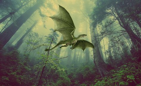 There Has Never Been a Better Time to Read Ursula Le Guin's "Earthsea" Books - Electric Literature Harry Potter Dragon, Elemental Dragons, Types Of Dragons, Ancient Forest, Green Dragon, Fortune Telling, Fantasy Novel, Fantasy Adventure, Book Dragon