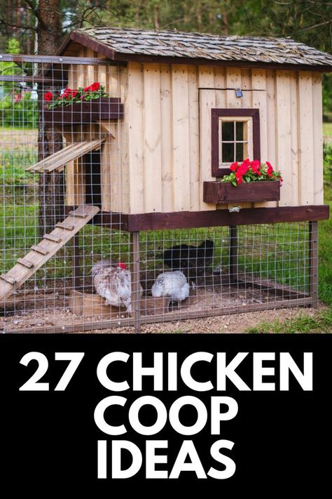 Whether you have a farm or just a little extra room in your backyard, raising chickens can be a fun and rewarding experience. Here, we share 27 of the BEST Chicken Coop Ideas! Read more at OwnTheYard.com! Simple Diy Chicken Coop With Run, Palet Chicken Coop Ideas, Big Chicken Run Ideas, Frugal Chicken Coop, Off The Ground Chicken Coop Ideas, Palate Chicken Coop, Chickens Small Backyard, Chicken Coop Extras, Add On To Chicken Coop