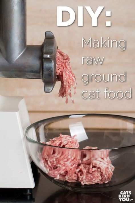 DIY: Making Raw, Ground Cat Food at Home - Cats Herd You Homemade Raw Cat Food, Raw Cat Food Diet, Raw Cat Food, Pet Bakery, Diy Cat Food, Healthy Cat Food, Raw Cat Food Recipes, Homemade Cat Food, Cat Food Brands