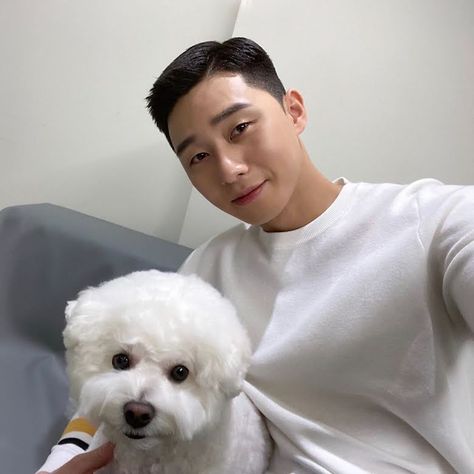 15+ Pictures Of Park Seo Joon And His Adorable Dog To Brighten Up Your Day Midnight Runners, Joon Park, What's Wrong With Secretary Kim, Park Seo Jun, Park Seo Joon, Park Min Young, The Way He Looks, Seo Joon, Drama Korea