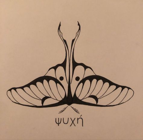 Luna Moth Tattoo Outline, Moth Stencil, Luna Moth Tattoo, Moth Tattoo Design, Cute Cat Tattoo, Insect Tattoo, Moth Tattoo, Line Art Design, Line Art Tattoos