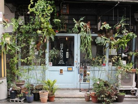 sleepyberry: cafe 1 A Well Traveled Woman, Pastel Punk, Greek Tragedy, Plant Shop, Pretty Places, Writing Inspiration, 인테리어 디자인, Kung Fu, Store Fronts