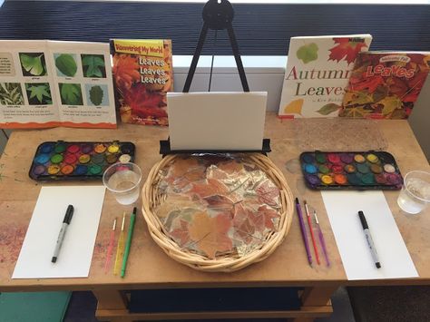 Inquiring Minds: Mrs. Myers' Kindergarten: October 2016 Montessori Classroom Layout, Science Table, Art Provocations, Twistable Crayons, Fall Science, Creative Thinking Skills, Fall Preschool Activities, Autumn Invitations, Tree Study