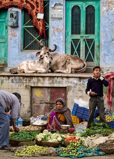 Pushkar market scene by PierreTurtaut - Cultures of the World Photo Contest Desert Dreamer, Amazing India, Goa India, We Are The World, Varanasi, People Of The World, World Cultures, South Asia, Jodhpur