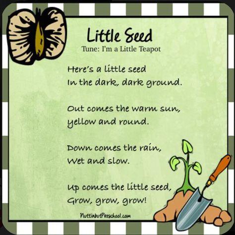 Seed Songs For Preschool, Planting Songs For Preschool, Plant Songs Preschool, Gardening Songs For Toddlers, Tree Songs For Preschool, Gardening Preschool, Plant Song, Garden Preschool, April Preschool