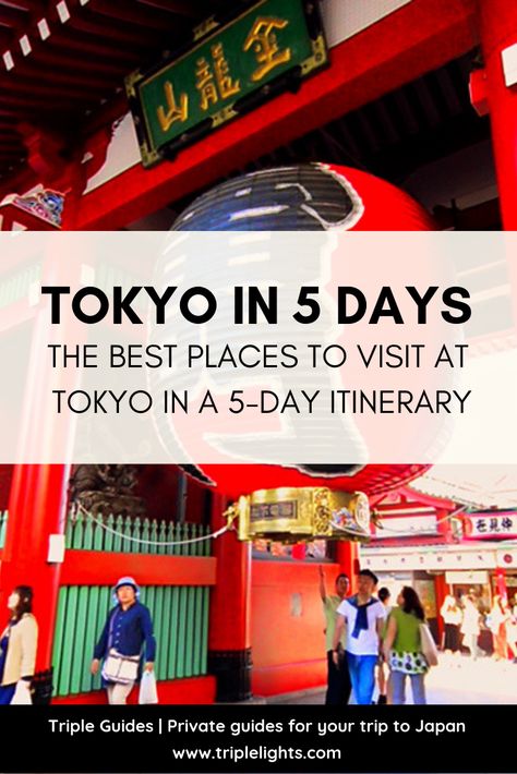 Tokyo In January, Japan In January, Tokyo Things To Do, Tokyo Winter, Win Lotto, Tokyo Map, Tokyo Trip, Trip To Tokyo, Winter In Japan