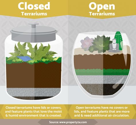 Terrarium Closed, Diy Terrariums, Build A Terrarium, Open Terrariums, Cactus Terrarium, Diy Succulent Terrarium, Terrarium Ideas, Beautiful Terrariums, Mini Terrarium