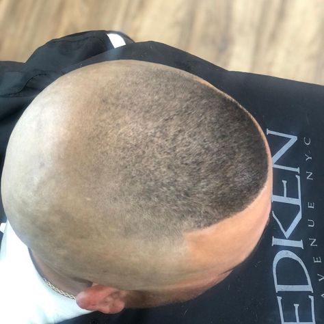 Megan Prather on Instagram: “#nofilter #southsidefade #midlandtx I love what I do! ❤️💈” Southside Fade, Bald Head With Beard, High Skin Fade, Flat Top Haircut, Bald Men Style, Hot Haircuts, Mens Haircuts, Summer Haircuts, Head Style