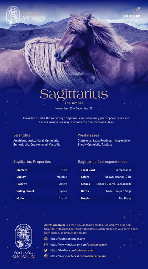 Astral Arcanum, Astrology Notes, Zodiac Sign Personality, God Notes, About Zodiac Signs, Scorpio Personality, Calendar Shoot, Sagittarius Art, Zodiac Signs Characteristics