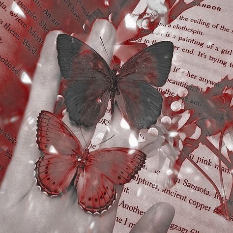 Yosano Aesthetic, Red Butterfly Aesthetic, Gfx Background, Gfx Roblox Background, Red Png, Butterfly Aesthetic, Butterflies In My Stomach, Lavender Aesthetic, Psd Background