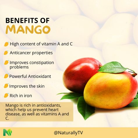 Mango is a delicious tropical gem packed with benefits. 🥭  Rich in vitamins A and C, this fruit strengthens your immune system and takes care of your skin.  Its high antioxidant content helps fight aging and improves digestion thanks to its natural enzymes. 🌟🍃  Celebrate every bite of mango, a fruit that not only nourishes, but also lifts your spirits and makes your health shine.  Share the freshness of mango with your loved ones! 🍑✨ #mango #health #benefits #20oct #naturallytv Benefits Of Mango, Mango Health Benefits, Mango Benefits, Healthy Dinner Options, Poor Digestion, Boost Immune System, Dinner Options, Healthy Digestion, Lower Cholesterol