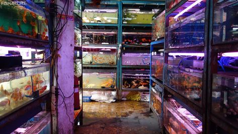 Aquarium Store, Fish Store, Aquarium Shop, Cinematic Photography, Environment Concept Art, Aesthetic Images, Art Background, Art Reference Photos, Pretty Pictures